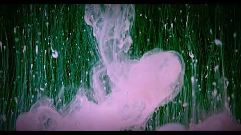 Alan Watts on Pain - to experience true joy pain m...