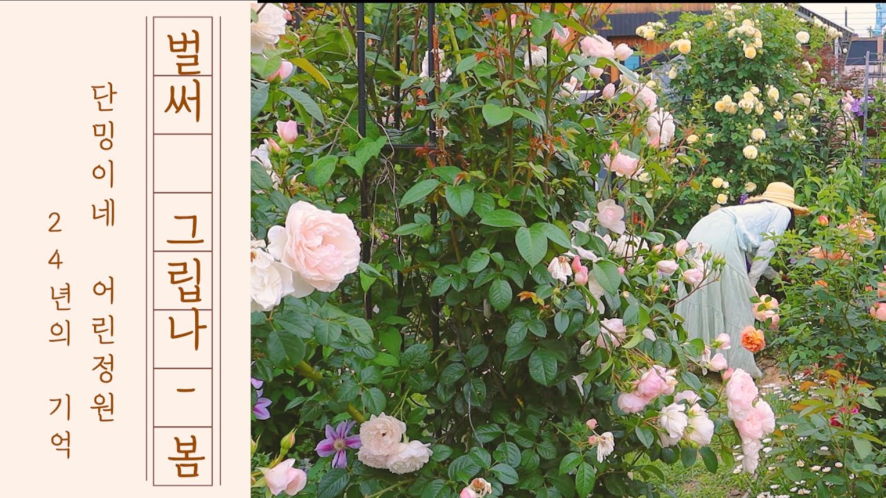 2024년 단밍이네 정원과 사계 가드닝 한눈에 모아보기