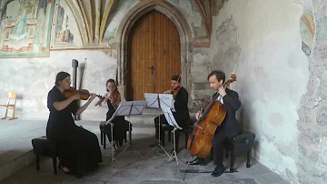 Wedding March - F. Mendelssohn - String Quartet
