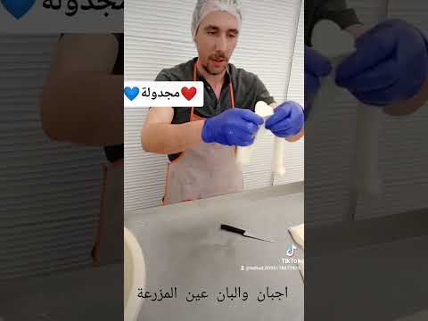 جبن مجدولة وشلل سوريا لبنان السعودية الكويت الامارات قطر عمان البحرين