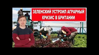 Дмитрий Василец 21 июня. Зеленский устроил аграрный кризис в Британии