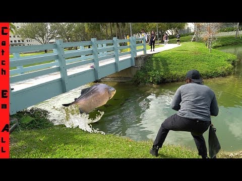 Video: Piranha Was Caught In The Chelyabinsk Pond - Alternative View