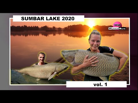 Sumbar Lake 2020 vol.1