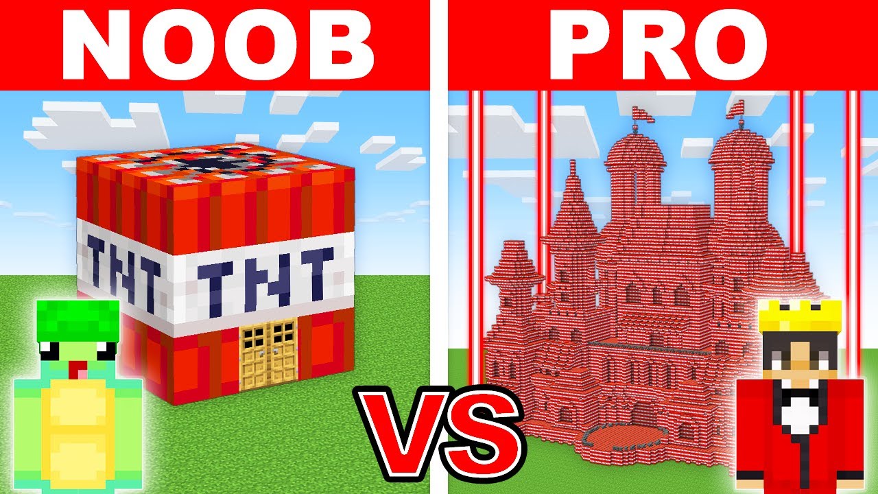 NOOB vs PRO: WORKING TNT HOUSE Build Challenge in Minecraft