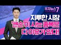 [투자뉴스7] 지루한 시장, '큰손'이 사는 종목은 다 이유가 있다! / 머니투데이방송 (증시, 증권)