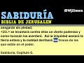 45 Libro de Sabiduría Completo   Biblia Católica de Jerusalén Hablada