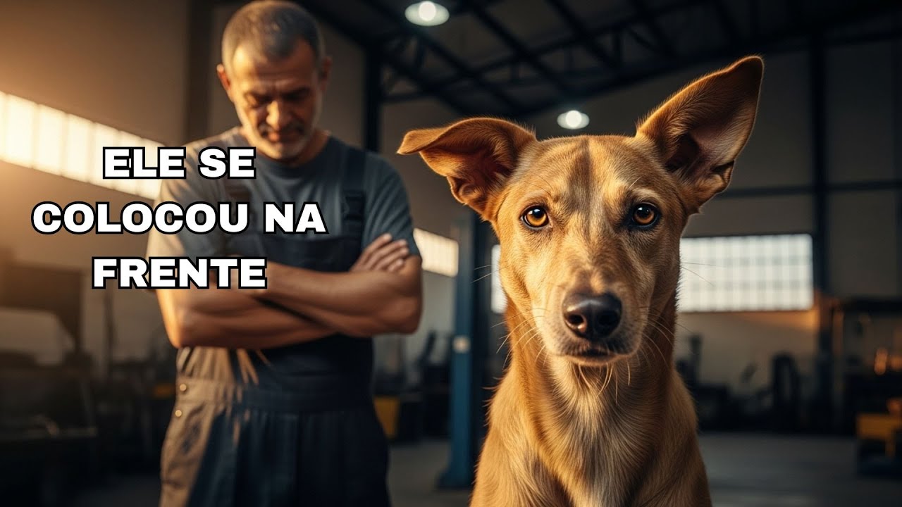 Ele Nunca Amou Ninguém… Até Esse Vira-Lata Fazer Isso