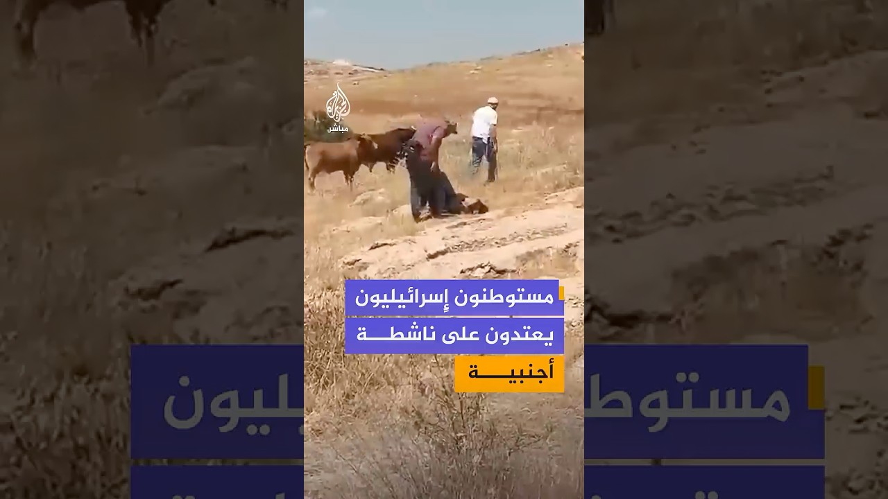 وكالة الأنباء الفلسطينية: مستوطنون يعتدون بالضرب على ناشطة أجنبية في منطقة خلة الحمص