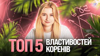 ТОП-5 ВЛАСТИВОСТЕЙ КОРЕНІВ I TURBO SUMMER SCHOOL