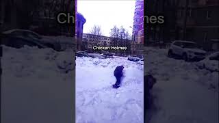 Senaryo Müq Dimi I Şfet Şfetbeniöneçıkar