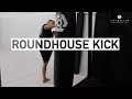 Roundhouse kick by martijn de jong