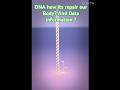 DNA how it's gives information? ಡಿಎನ್ಎ ಹೇಗೆ ಮಾಹಿತಿ ನೀಡುತ್ತದೆ #