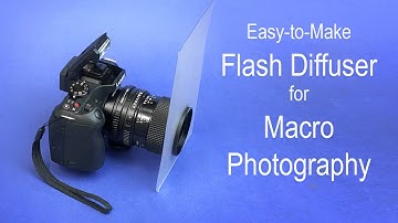 Simple DIY Flash Diffuser for Macro Photography