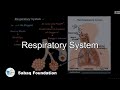 Respiratory system general science lecture  sabaqpk