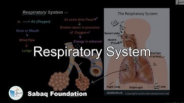 Respiratory System, General Science Lecture | Sabaq.pk
