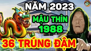 Top 8 tử vi mậu thìn tốt nhất