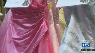 Cinderella Dress Day Live