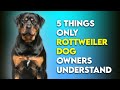 5 Things Only Rottweiler Dog Owners Understand