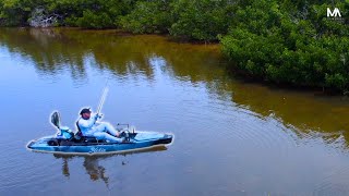 Kayak Fishing the Florida Mangroves for Whatever Bites!