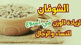 زيادة الوزن بالشوفان في اسبوع ( فوائد الشوفان لزيادة الوزن ) وصفة الشوفان للتسمين السريع