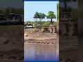 TANAPA KUWACHUKULIA HATUA KALI WAONGOZA WATALII TUKIO LA WATALII KUSHUKA KWENYE MAGARI SERENGETI TANAPA KUWACHUKULIA HATUA KALI WAONGOZA WATALII TUKIO LA WATALII KUSHUKA KWENYE MAGARI SERENGETI