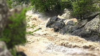 Fish Ladder of Great Falls at Flood Stage