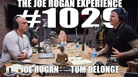 Joe Rogan Experience #1029 - Tom DeLonge