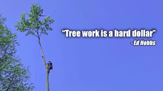 Tree work is a hard dollar