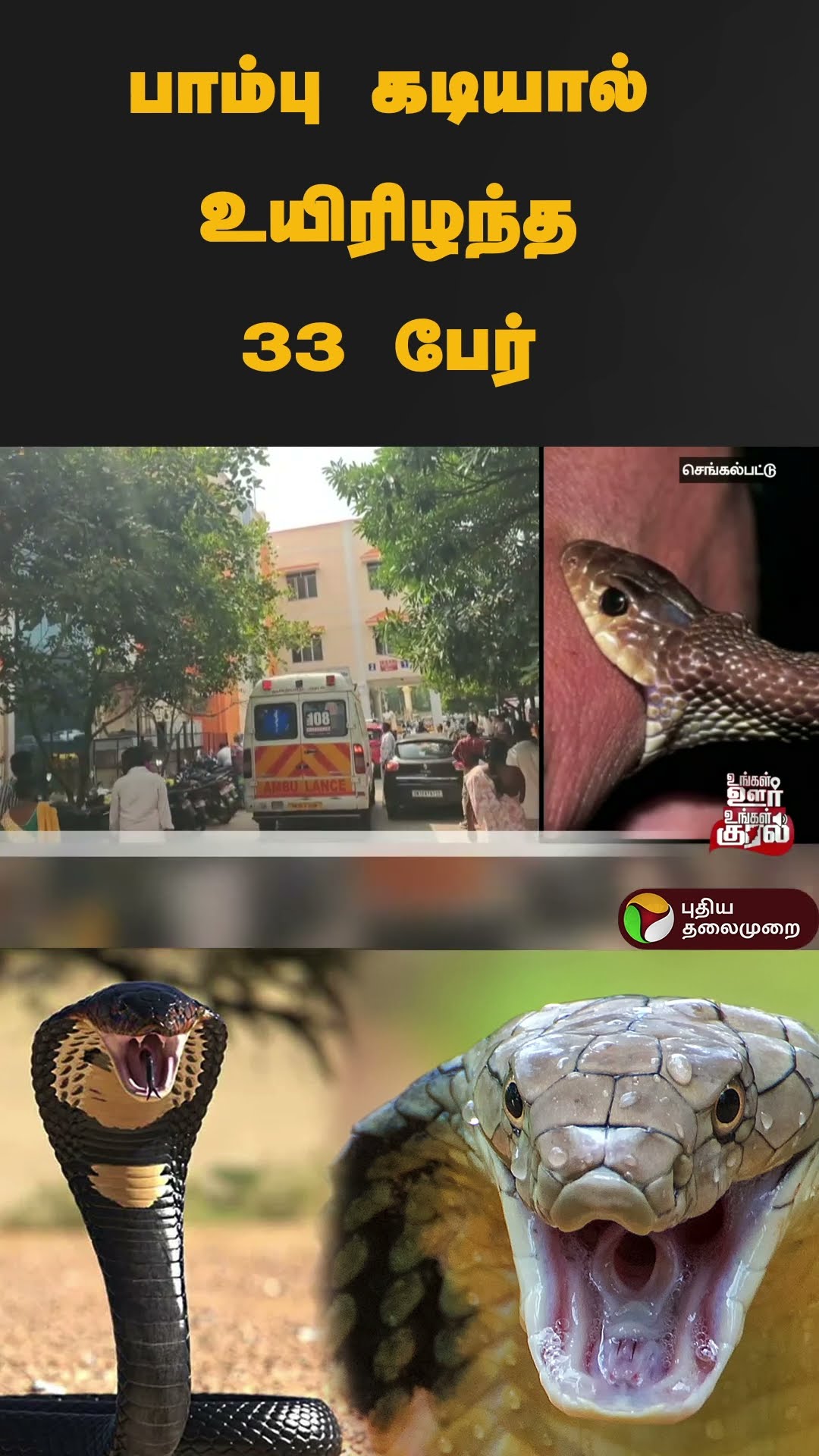 பாம்பு கடியால் உயிரிழந்த 33 பேர் | #shorts | #chengalpattu | #snake