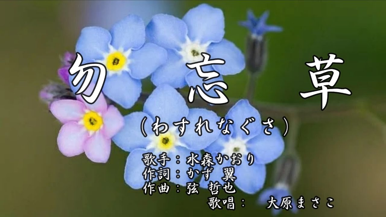 勿忘草 わすれなぐさ 川野夏美 歌唱 酒井昌子 Youtube
