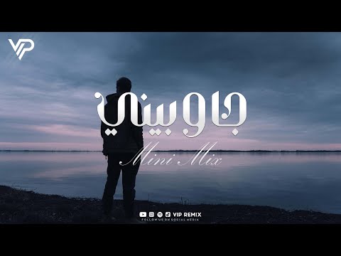  ميني مكس جاوبيني