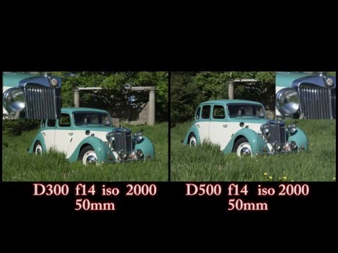 Nikon D300 vs Nikon D500 photo comparison