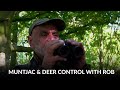 Muntjac &amp; Deer Control with Rob