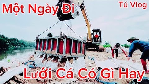 Hai Anh Em Đi Lưới Cá Tra Sông Mùa Nước Lũ