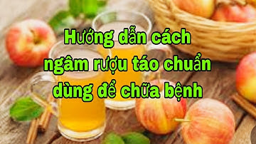 Hướng Dẫn Cách ngâm rượu táo đơn giản dùng để chữa bệnh