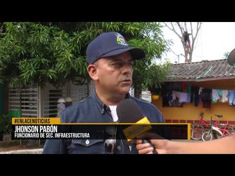 Fue talado árbol que presenta peligro