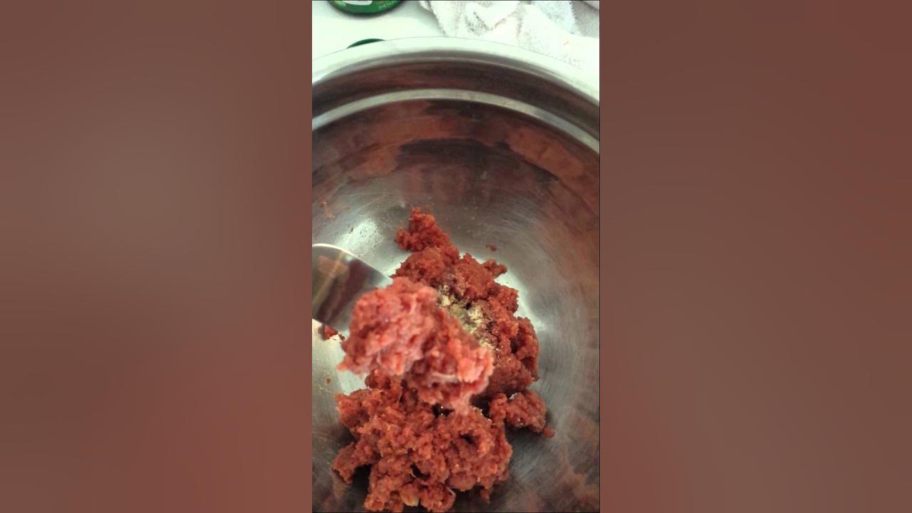 DIY Discus Beef Heart Mix YouTube