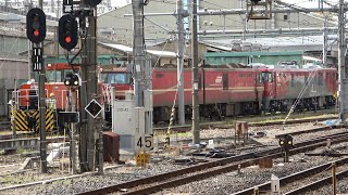 2023/05/25 Japan Railways: EH800-6 & EH500-39 for Maintenance at Omiya
