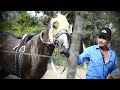 Carrera de caballos &quot;El Pinto v/s El Moro&quot; (del Anfitrión Chuy del rancho de Juárez)