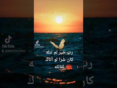 رب خير لم تنله كان شرا لو أتاك لقائله