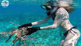 Amazing scuba diving skills to catch giant lobsters - Catch lobsters on the seabed