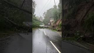 “Road Collapse After Heavy Rain | Terrifying Aftermath Caught on Camera” #naturevibes #villagelife