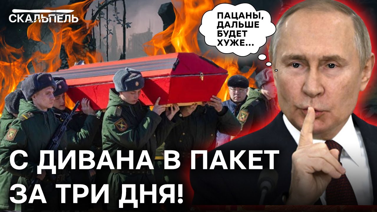 Шпаргалка для мобика — КАК ОТКОСИТЬ ОТ ВОЙНЫ и остаться в ЖИВЫХ ...