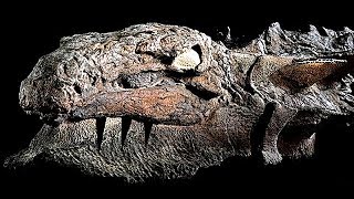8 Самых Загадочных Открытий, Которые Изменят Историю Мира 8 Самых Загадочных Открытий, Которые Изменят Историю Мира