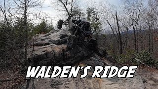 Windrock  Walden's Ridge (The Whole Trail)
