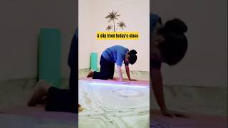 A short clip of my online class || #Shorts #Yoga #YogaPractice #YogaTeacher #DailyYoga