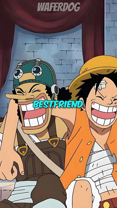 Siapakah Sahabat Terbaik Luffy | Onepiece