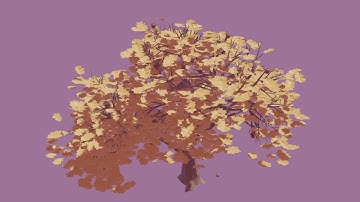 Procedural Oak Tree Growth Animation