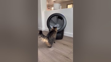 I am SO excited to finally upgrade to the Litter-Robot 4! My cats are going to have a fancier toilet