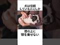 【雑学】あまり知られていない犬の秘密5選 Part.3